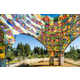 Kaleidoscope Vibrant Pavilions Image 1