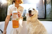 Deodorizing Dog Shampoos Image 1