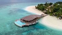 Stingray-Inspired Restaurant Roofs Image 1