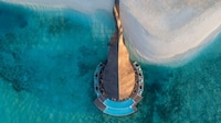 Stingray-Inspired Restaurant Roofs Image 2