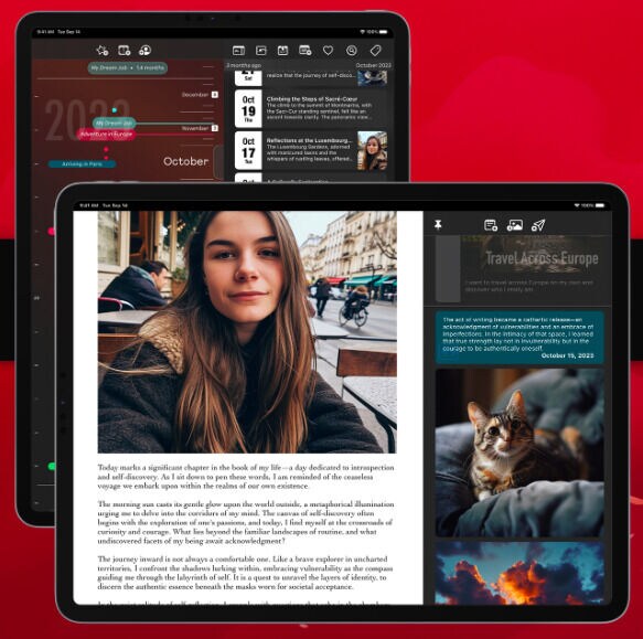 Personalized Lifelong Digital Journals : Now and When