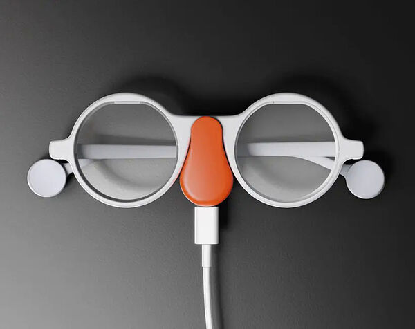 Open-Source AI Eyewear
