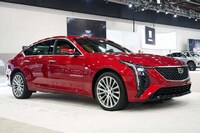 Refined Legacy Sedans Image 4