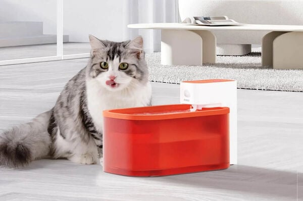 Modern Pet Water Fountains