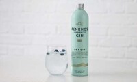 Aluminum Bottle-Packaged Gin Image 1