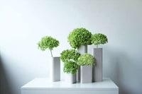 Geometry-Inspired Vase Collections Image 2