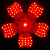DIY LED Flower Lights Image 2