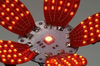 DIY LED Flower Lights Image 3