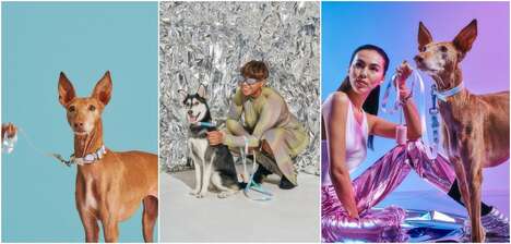 Holographic Pet Accessories