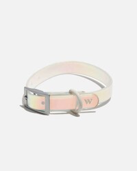 Holographic Pet Accessories Image 6