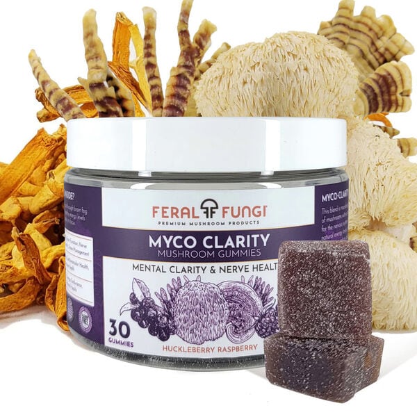 Functional Mushroom Gummies