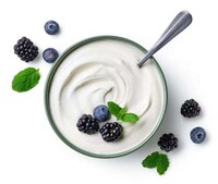 Fermented Dairy-Like Food Products Image 3