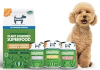 Allergy-Friendly Vegan Dog Foods