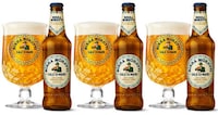 Sicilian Salt-Infused Beers Image 1