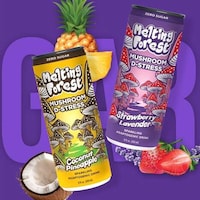 Adaptogenic Mushroom Beverages Image 3