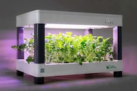 App Controlled Indoor Gardens Image 2