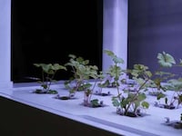App Controlled Indoor Gardens Image 3