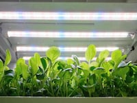 App Controlled Indoor Gardens Image 4