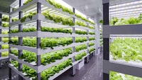 App Controlled Indoor Gardens Image 8
