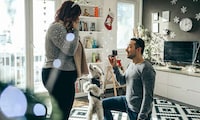 Pet-Inspired Proposal Initiatives Image 1