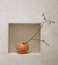 Exquisite Circular Vases Image 1