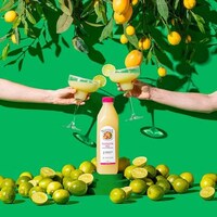 Delicious Three-Ingredient Margarita Mixes Image 2