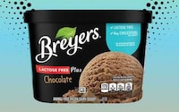 Animal-Free Dairy Desserts