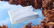 Sustainable Seaweed Resin Packaging Article Thubnail