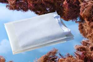 Sustainable Seaweed Resin Packaging Article Thubnail