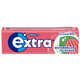 Summertime Fruit Chewing Gums Image 1