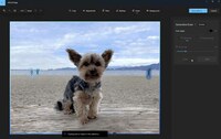 AI-Powered Editing Eraser Tools