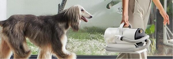 Comprehensive Pet Grooming Kits