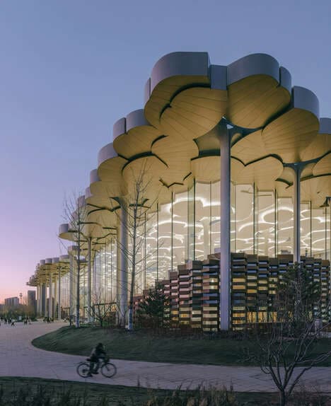 Glass-Lined Towering Libraries