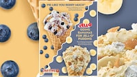 Fruit-Forward Pudding Ice Creams