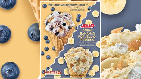Fruit-Forward Pudding Ice Creams