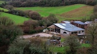 Converted Hybrid Studio Homes Image 3