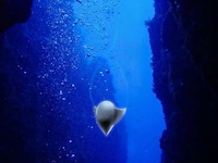 Deep Sea Funerals