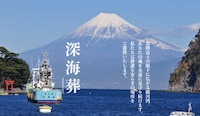 Deep Sea Funerals Image 4