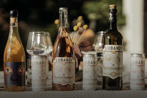 Socially Conscious Wine Producers Article Thubnail