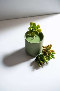 Travel-Inspired Modern Candle Collections Image 3