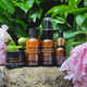 Ayurveda-Inspired Skincare Discovery Collections Image 1