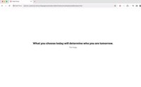 Distraction-Blocking Website Extensions