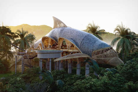 Dolphin-Shaped Tranquil Retreats