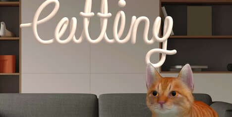VR Cat Experiences