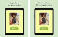 AI Avocado Ripeness App Image 1