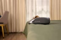Furniture-Sanitizing Vacuums Image 2
