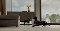 Bio-Inspired Guard Dog Robots Image 1