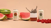 Low-Dose Cactus Waters Image 1