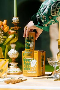 Revitalized Sparkling Gin Cocktails Image 1