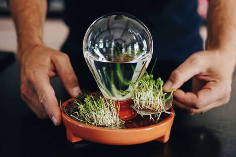 Self-Watering Compact Planters